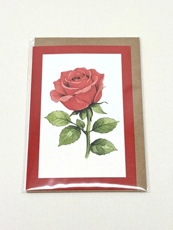 Classic Red Rose