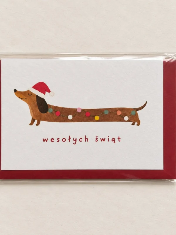 Festive Doggo
