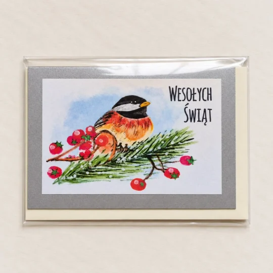 Winter Robin