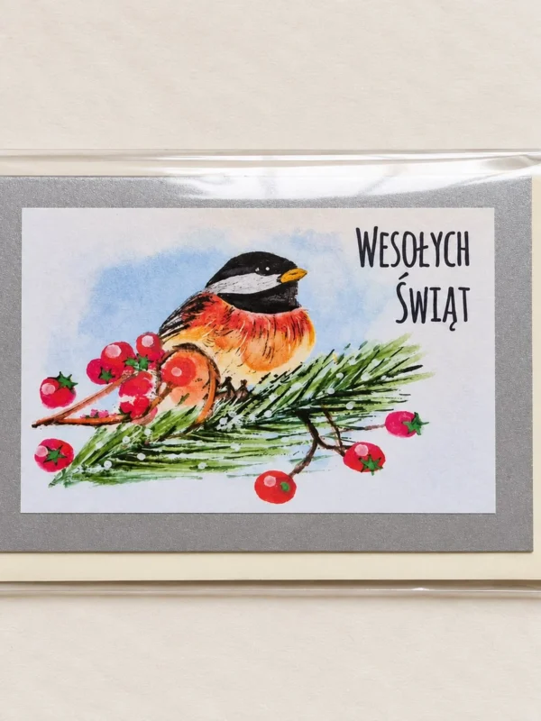 Winter Robin